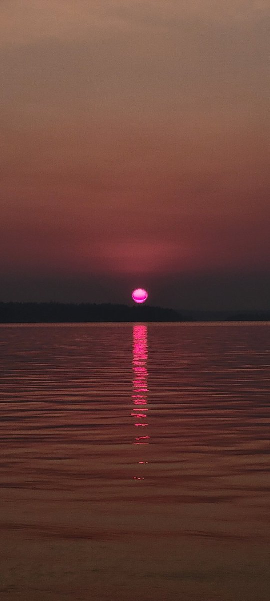 SharpieBlonde's tweet photo. I also can not believe the picture I took of the sunset.. 🔅 https://t.co/Rws0efsacV
