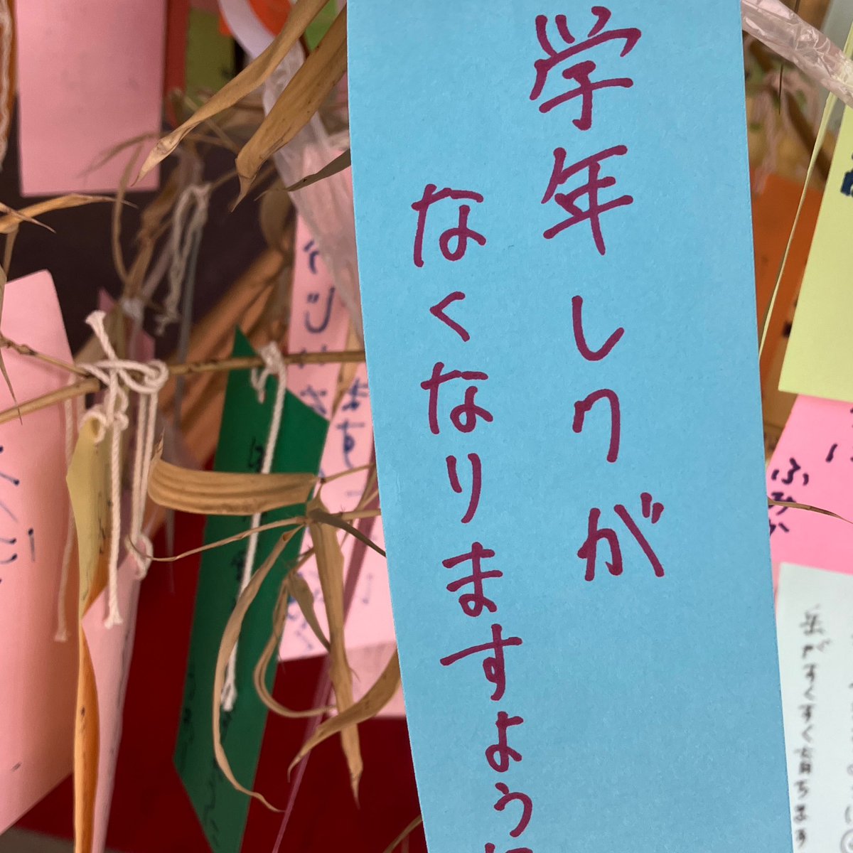 直後に七夕の短冊を見ると願い事と呪いが混在してて面白い
於:道の駅みやこ「シートピアなあど」 