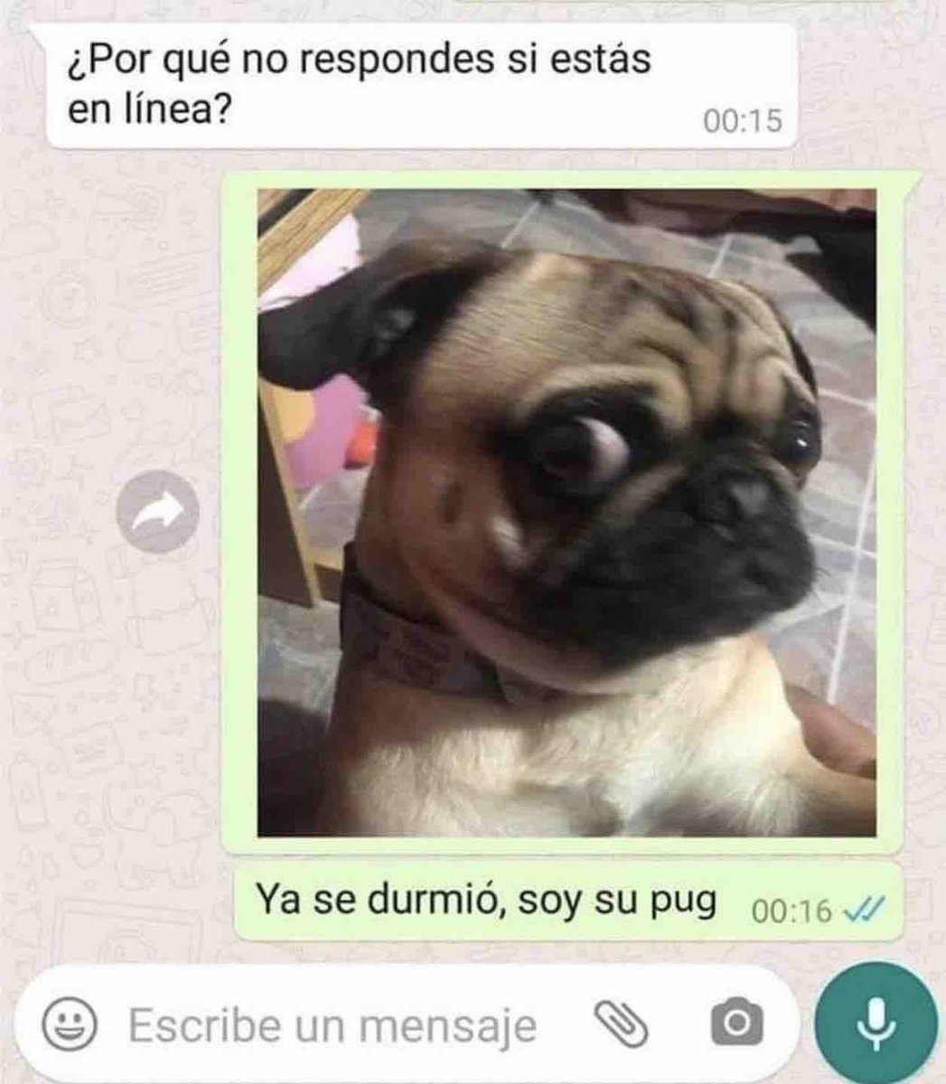 El Guarromántico (@guarromantico_) on Twitter photo 