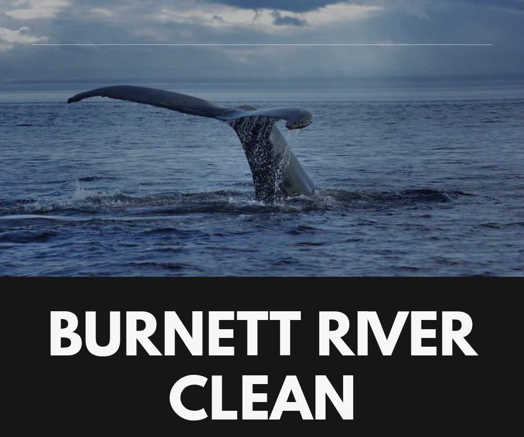 Don't forget to switch to @burnettclean as this page will be shutting down for the new one.