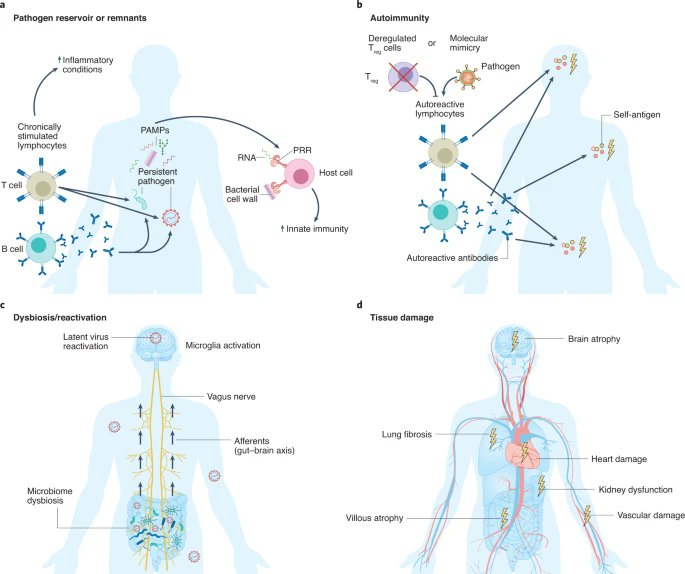 ejustin46's tweet photo. A clear GRAPH to explain the "UNEXPLAINED post-acute INFECTION SYNDROMES"
from @VirusesImmunity https://t.co/xaVzHMsDaf