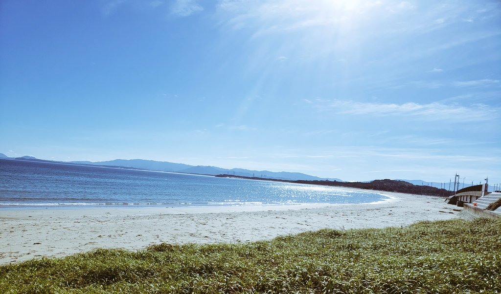 早起きでbeach Cleanへ
よくウミガメや鳥さんが
絡んでいるのをインスタでみる
漁業用の網や綱、そして
大量のプラゴミが秒で
袋いっぱいに😮‍💨
来週も参加する
 #志賀島 
 #beachClean 
 #朝活