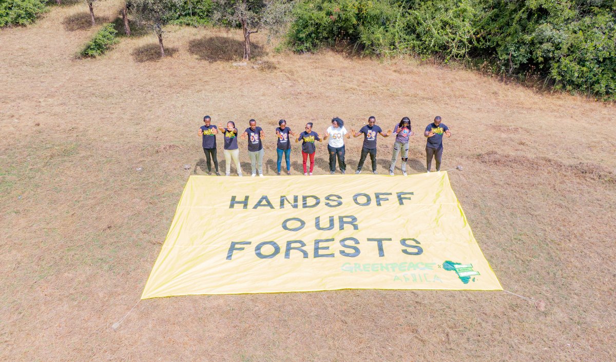 🚫🪓 Kenyan forests face devastation - logging ban must be permanently reinstated.

President Ruto, make the right choice for our planet and its people! 

Add your voice if you agree 👉 act.gp/3qMaVDN