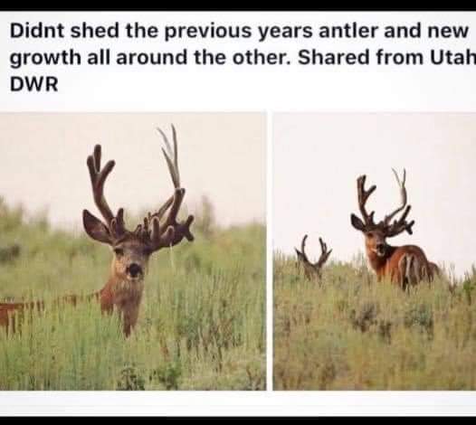 Well thats an odd one...