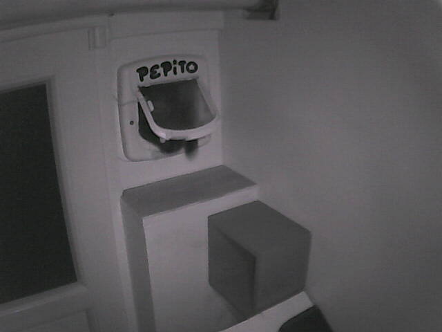 Pépito is back home (06:08:07)