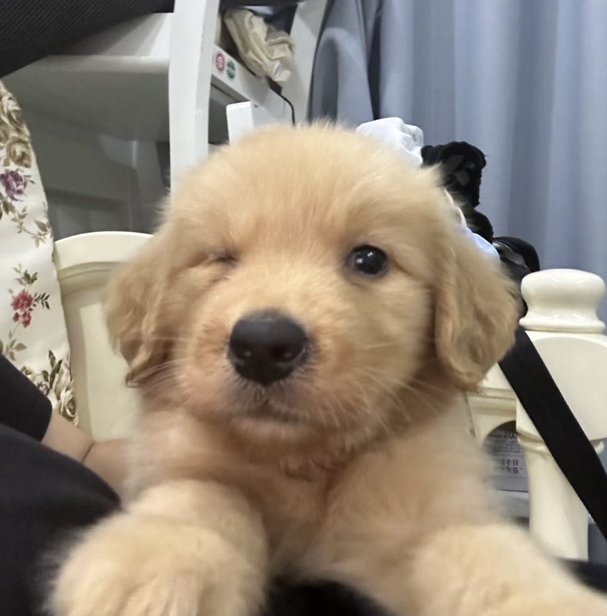 พี่ซ๋าว ตกหลุมรักผมละยัง