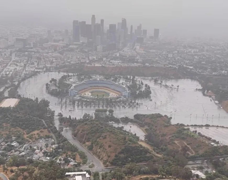 Sports Freak tweet media