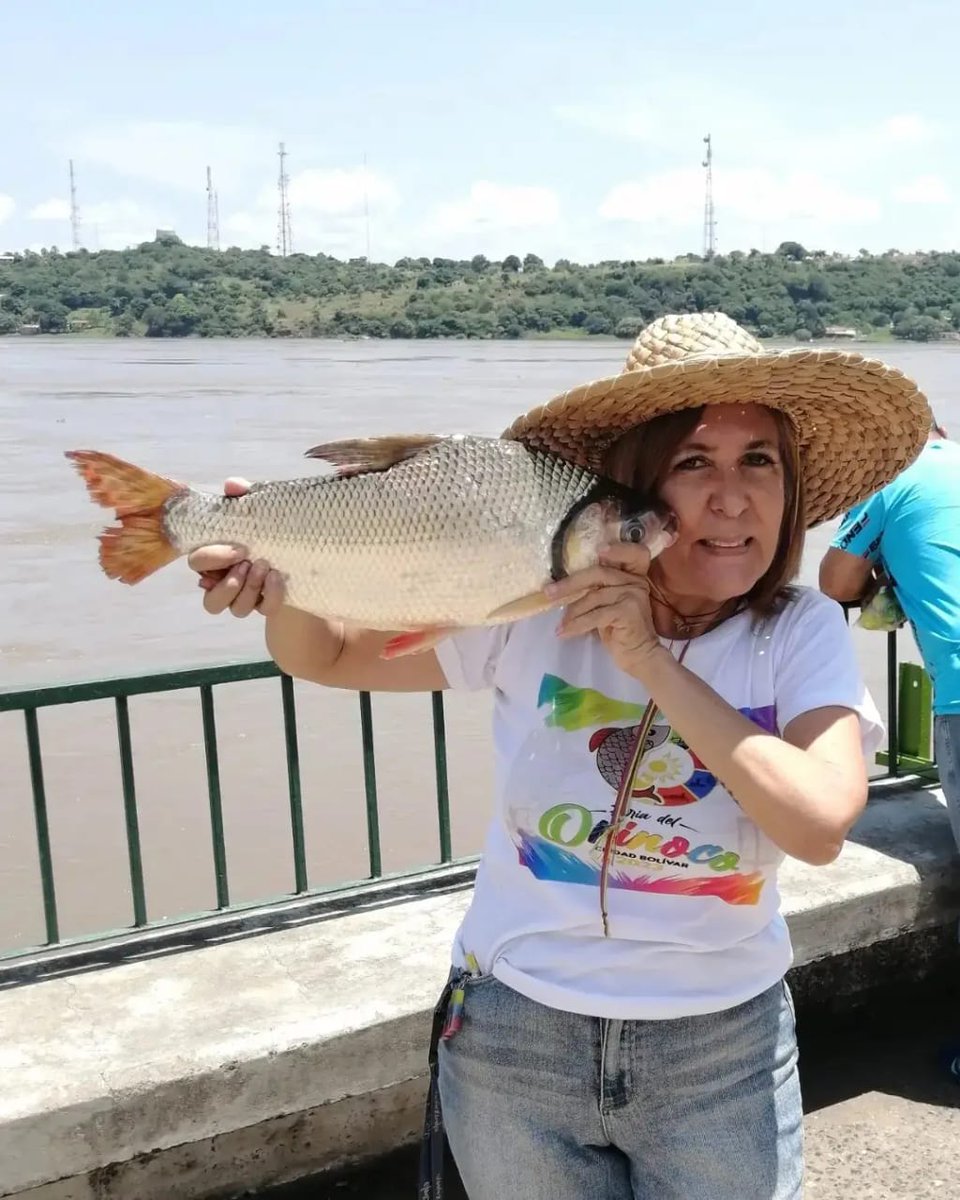 HoracioAlarcon's tweet photo. Salió la primera Sapoara de este año en #CiudadBolivar ! Seguimos de feria para nuestro pueblo ! @comandosergioh @amarcanopsuv #PorAquiPasoHugoChavez @NicolasMaduro @PartidoPSUV https://t.co/pmCMrtzwU4