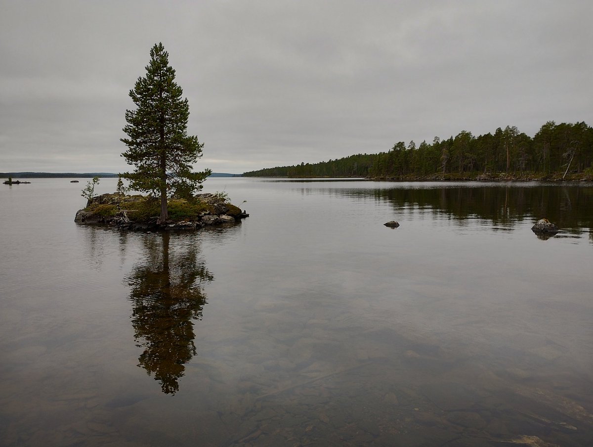 kahonen68's tweet photo. Ihan jees. #inarinjärvi #nellim https://t.co/5gk4inVlRx