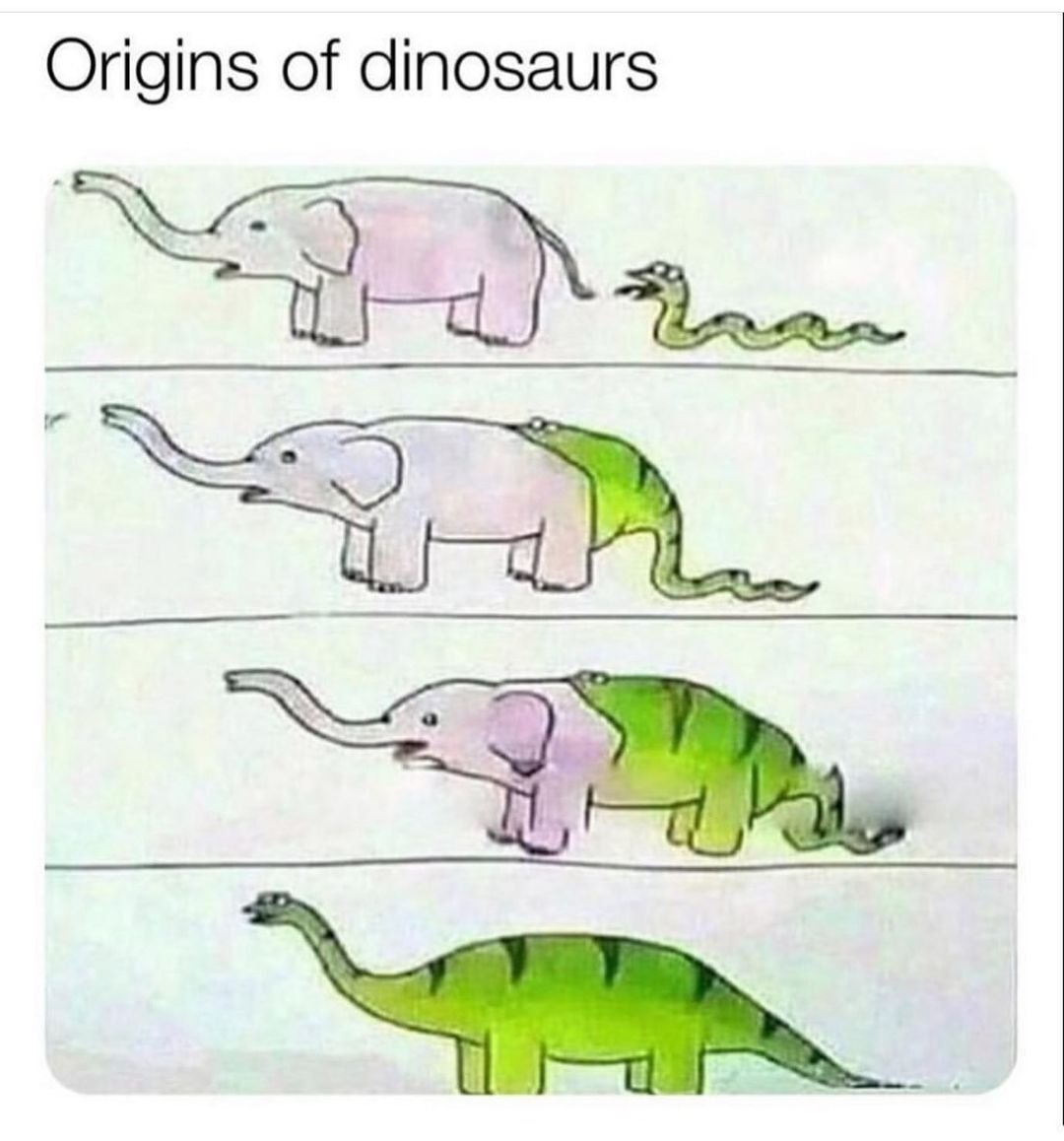 <a href="/PicturesFoIder/">non aesthetic things</a>