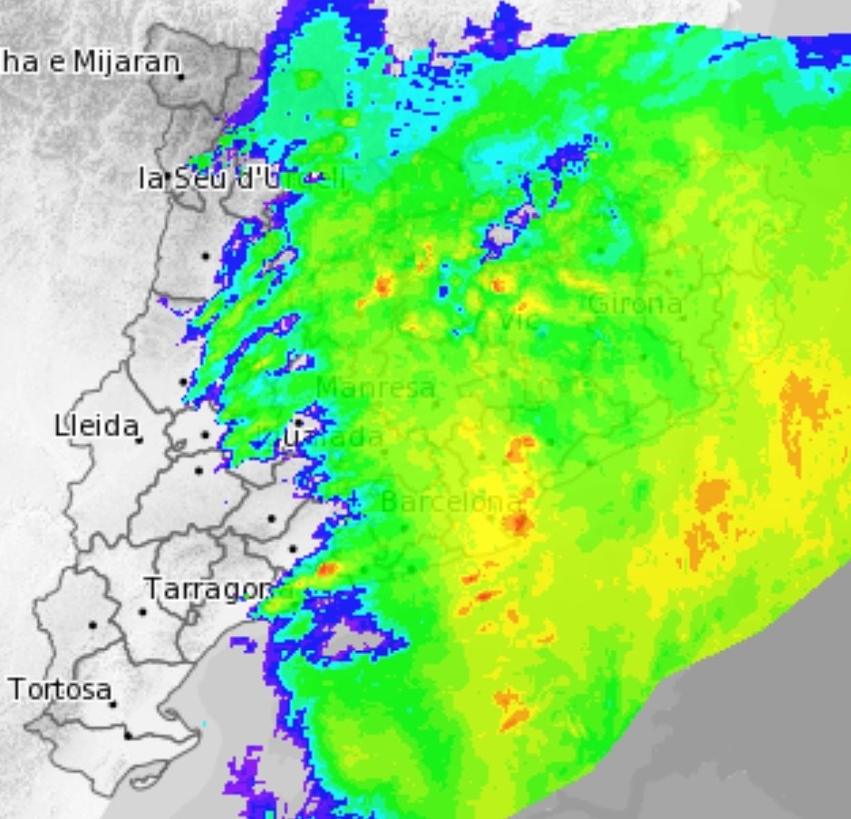 SeguimlaMeteo's tweet photo. Aquesta ploguda no té preu. Plou sense fer mal des de fa hores. Or pels boscos. https://t.co/vtsBNRRELS