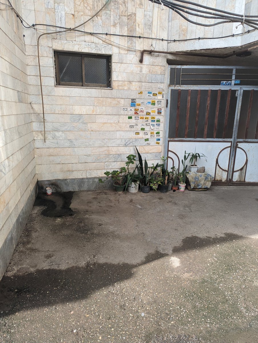 جای تو خالی