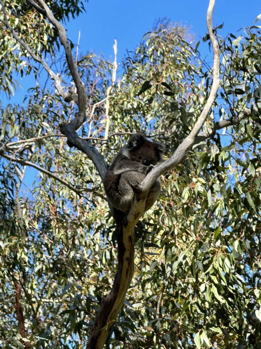 Eva ✨ Sewing Crafty Gorl on Etsy✌🏼 tweet media