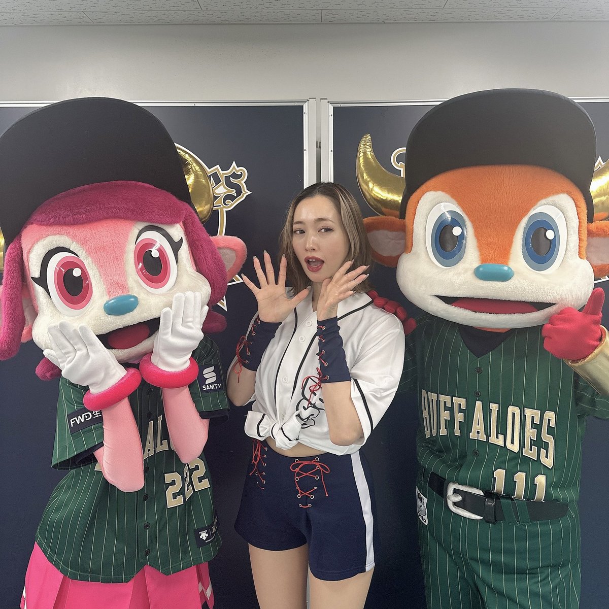 chihiro.HAWKS エポック社の公式オンラインショップです。【14枚セット】≪阪神