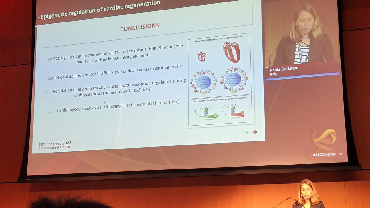 Sunday
 #BasicScience at #ESCCongress in full swing 🔬♥️.
Paola Cattaneo presents DOT1L, an epigenetic enzyme regulating left ventricle specification and cardiomyocyte cell cycle withdrawal. 🤩
@C_Balbi90 @liberale_luca