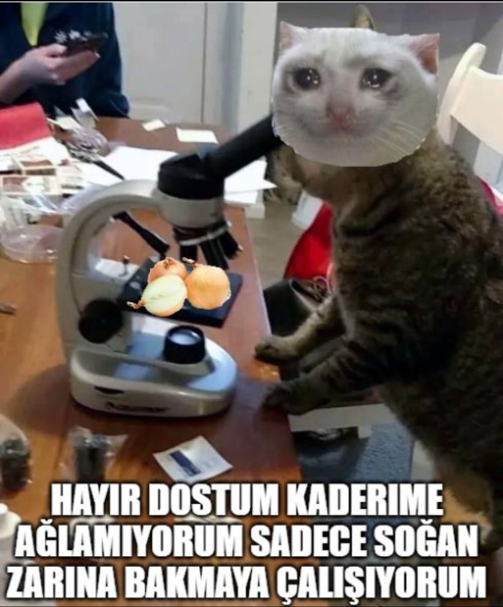 ITU GALEN TEAM tweet media