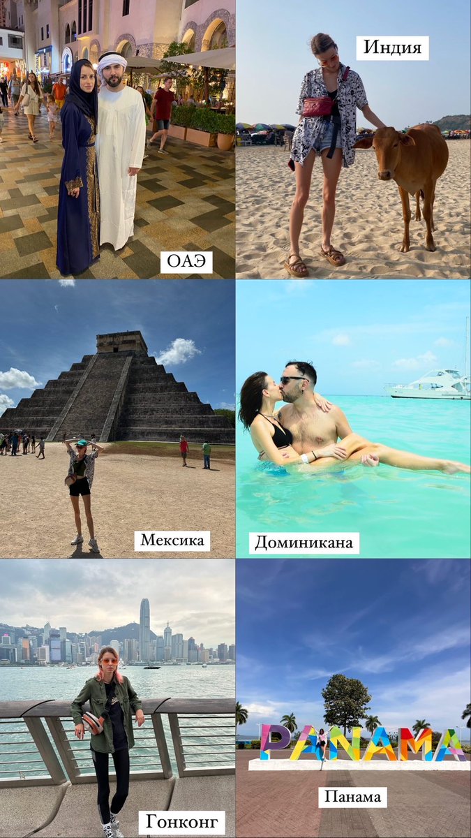 Anastasia Starzeva tweet media