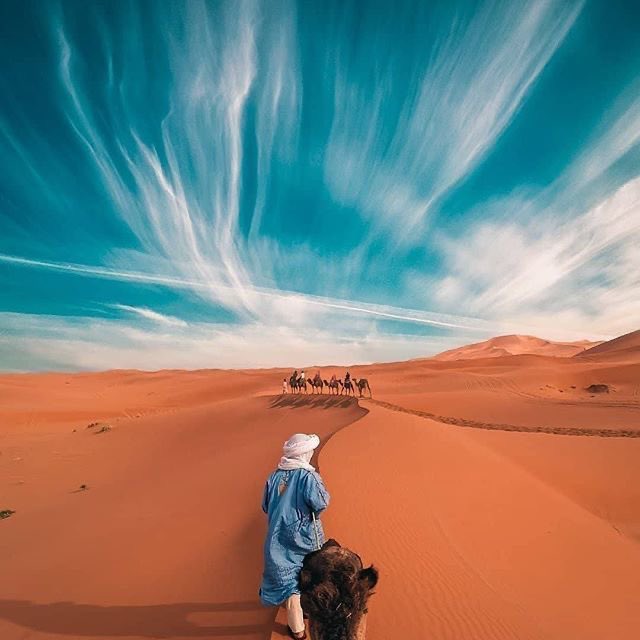 TheArabiansNFT's tweet photo. GM Habibees 🧡

"In the desert of life the wise person travels by caravan, while the fool prefers to travel alone." 🐪  ☀️ 🌴 

#Web3 #NFTCommunity #NFTs https://t.co/vcuN5cbLaj