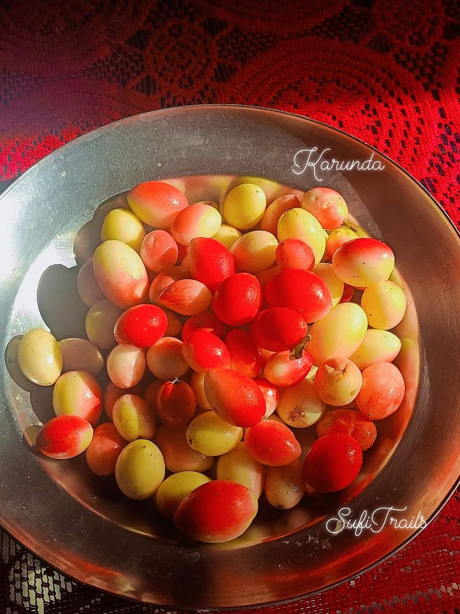 Karonda ki Chutney,
 is one of my favourites, and one cooked by my late mother Sahibzadi Mehar Unninas Begum was delicious and a childhood favourite, especially with Bagara khana.

In the middle of the monsoon season, a berry called Karonda (Carissa carandas) s #hyderabadinsta