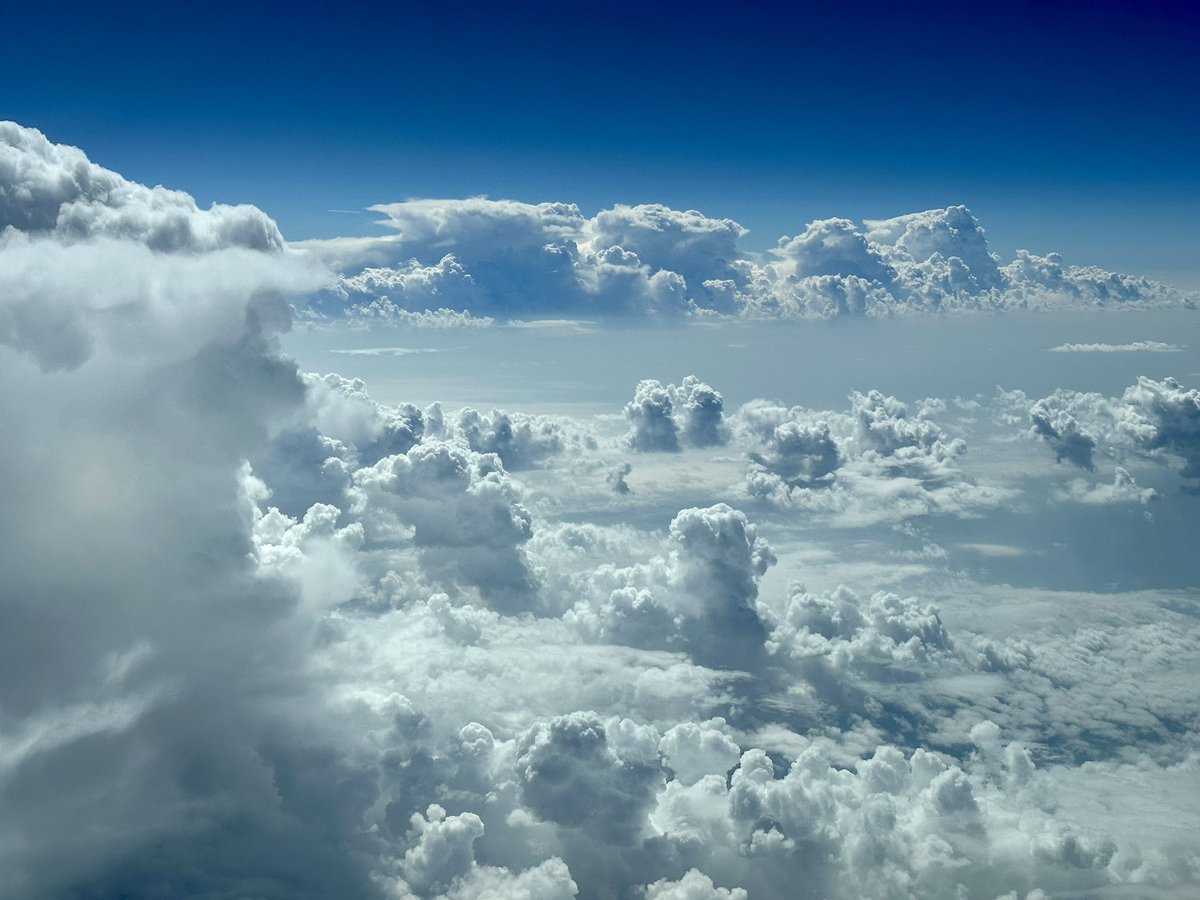 ıuɐpɹoıƃ sɐloɔıu tweet media