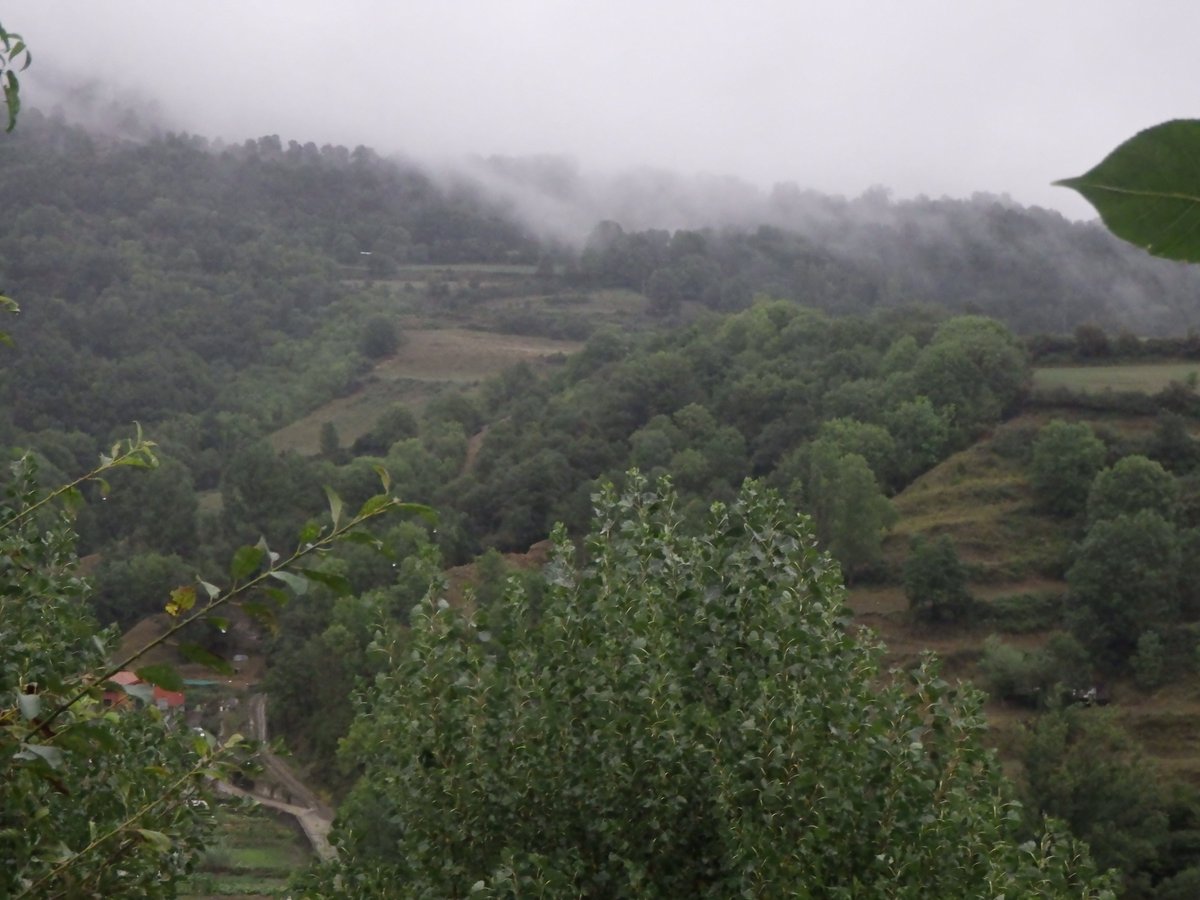 Vistes actuals de la Vall del Segadell i Ribes Altes. Fins a  26 mm aquest diumenge fins a les 8 del matí a #ribesdefreser (cota 985 m). #vallderibes #valldelsegadell #ripollès @jordicampos @francescsoler @elisabetroch @AlfredRPico @eloicordomi @MeteoGasso @Vicens_Gibert