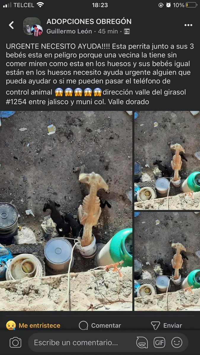 URGE su intervención <a href="/FiscaliaJal/">Fiscalía del Estado de Jalisco</a>