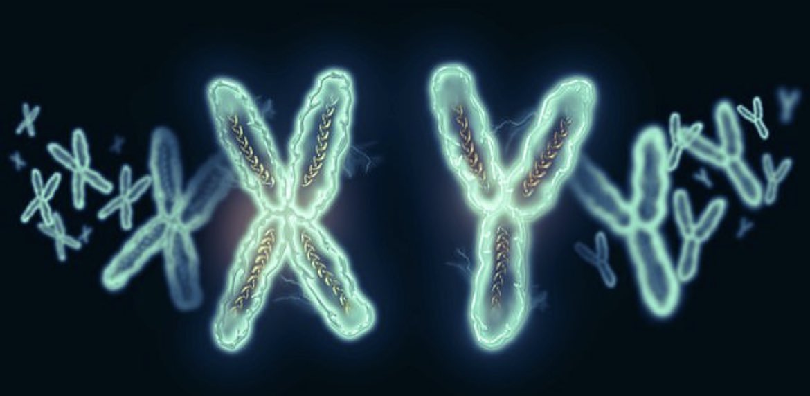 Sport can be separated by science…….