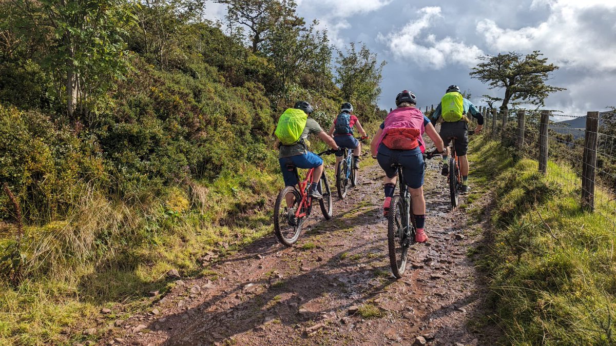 mtbwales tweet media