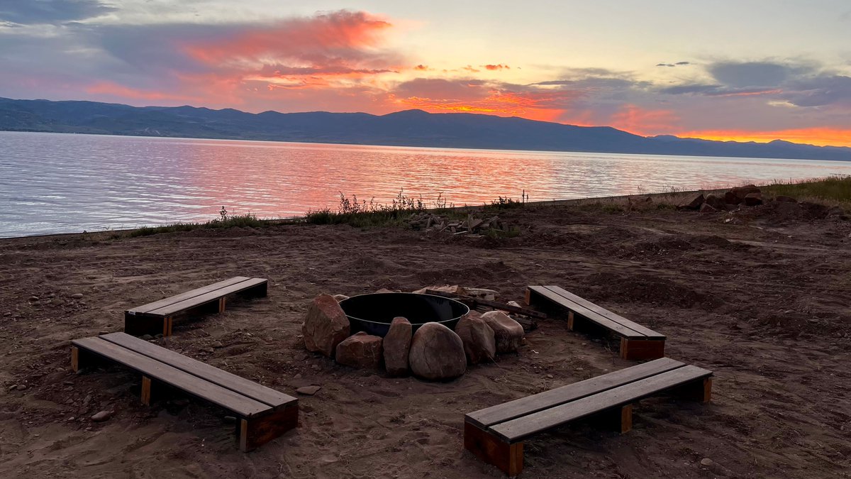 Neli Ulrich tweet media