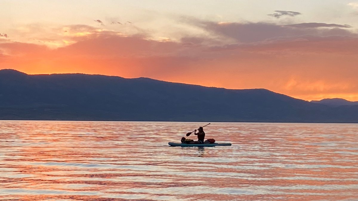 Neli Ulrich tweet media