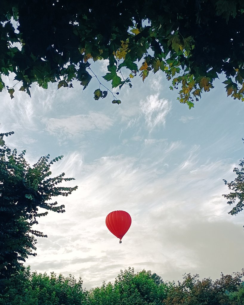 ¡Cómo será la niña!