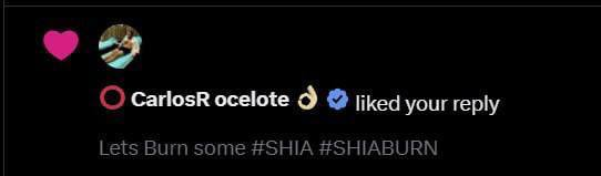 CryptoKvon's tweet photo. Grabbed a bag of $SHIAB // Shia Burn

Carlos is interacting with them on X, the community is popping, the burn bot is live, and the team seems legit. 

🪙Tokenomics:
- 1% Burn of $ShiaB on every transaction
- 1% Automatic Liquidity Pool (LP) generation
- 3% Burn of $Shia on every transaction

This is a smart contract, so it's done automatically. Seems like the clear winner.

✉ TG: https://t.co/aGhuu2LymA

📊 Chart: https://t.co/WPCFnJmFuq