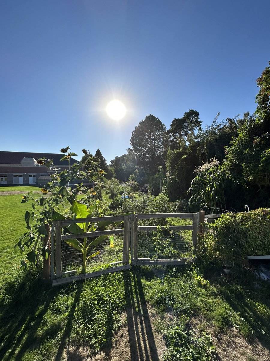 Kylo Rent-due tweet media