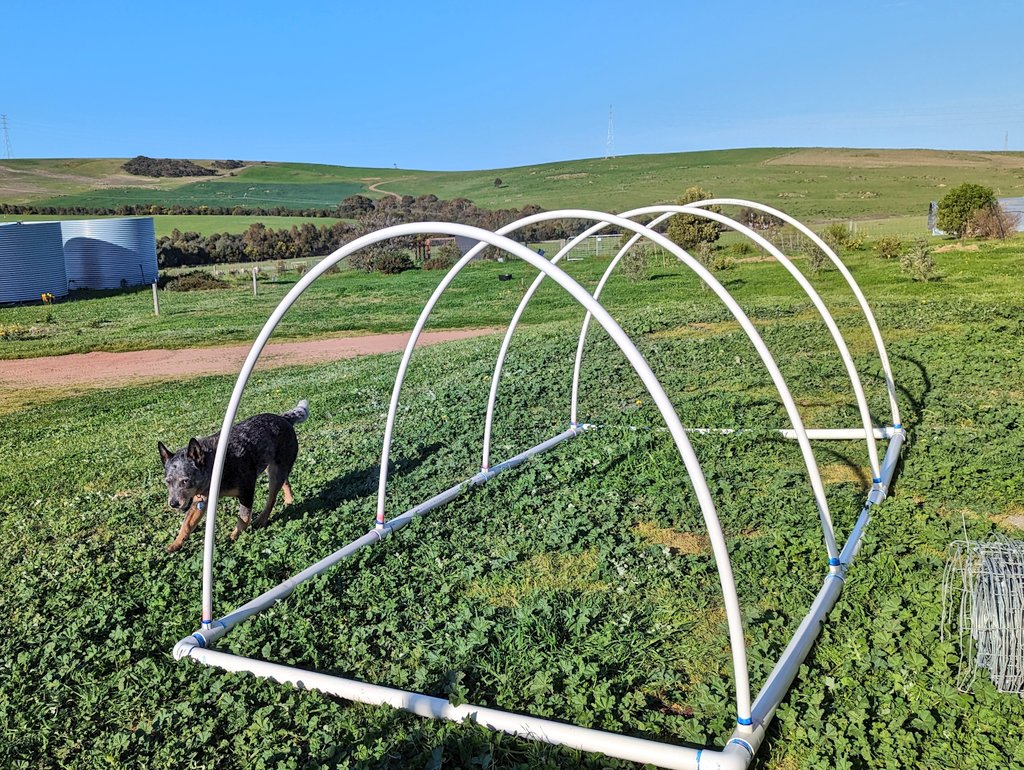 Shayne Calliss tweet media