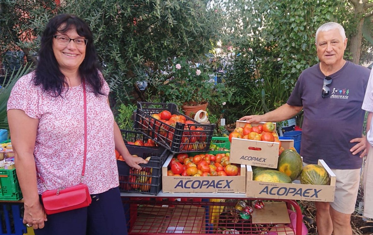 AtaraxiaRivas's tweet photo. Nueva entrega a @RRAlimentosR de los huertos de Ataraxia.
60 kilos de tomate 🍅 y melones 🍈 https://t.co/6fF5rjk3JR