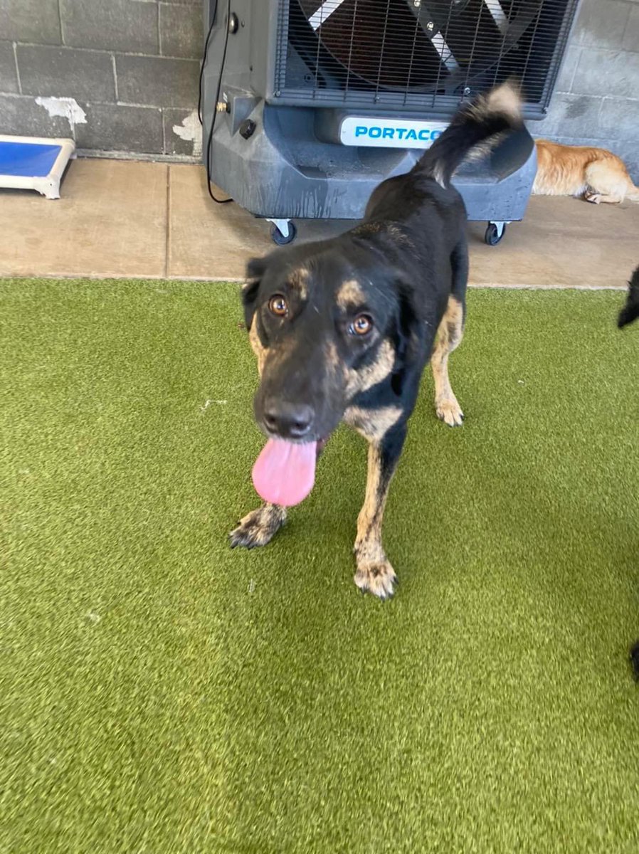 It’s late, but I don’t care.🥺