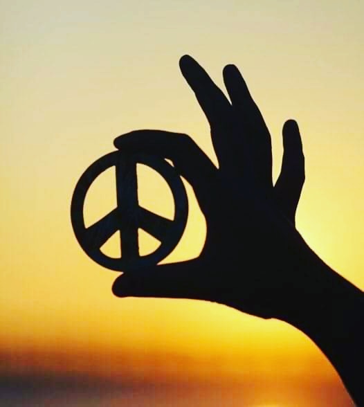 Johan Gielen tweet media