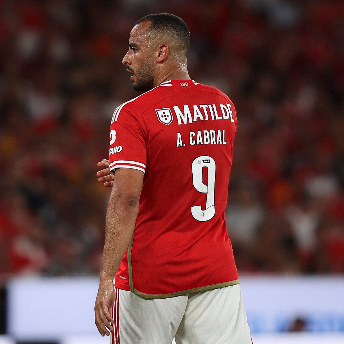 Os benfiquistas querem que o clube contrate jogadores reputados e com qualidade para entrar no 11 de imediato, mas depois não têm paciência nenhuma com eles. Se não rendem em 2 ou 3 jogos, não servem. 
O maior inimigo do Benfica são os próprios benfiquistas.