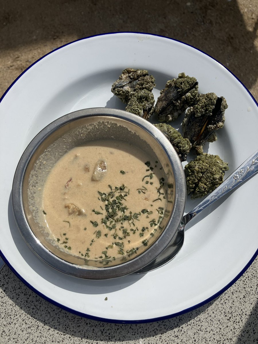 foodgrower's tweet photo. Superb day of #foraging & #feasting by #bike with @luciathewildkitchen #foraged #seapurslane #goldensamphire on route to a superb #wildfood #beachbuffet Then collected #seeds & #hedgerow #berries Such a great day with Lucia Learnt lots and feel inspired. #birchingtononsea https://t.co/l4P57NR7th
