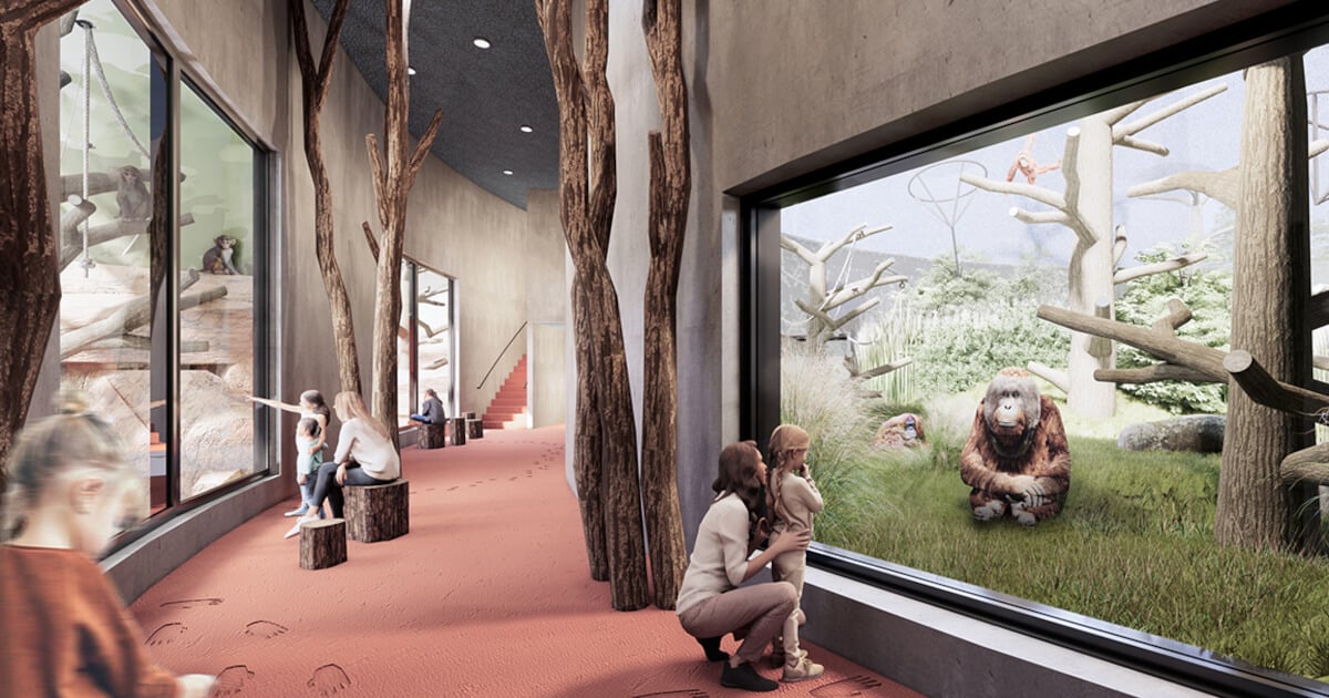 AllplanDE's tweet photo. Nach über 30 Jahren bekommen die Orang-Utans im Zoo Dresden endlich eine artgerechtere Bleibe. 🦧

👉 Mehr dazu auf unserem Blog: https://t.co/HRyemW0qYf

#allplan #engineering #bewehrungsplanung #schalplanung #mrstatikgroup #dresden #nemetschekgroup https://t.co/e1ybr5zKF3