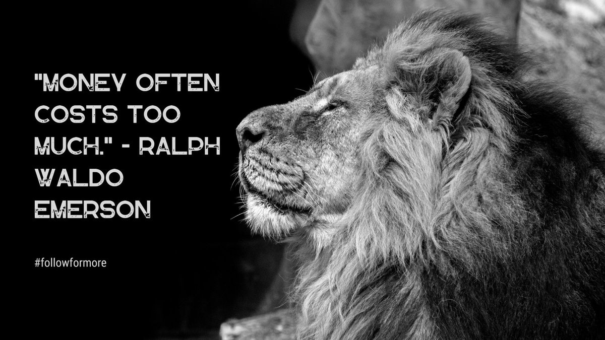 babylon786's tweet image. thoughts? #followformore