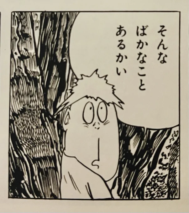 EXPOの物販スペースには、マンガや絵本や鬼太郎以外にも色んな作品が置かれいて鬼太郎から広がる水木ワールド✨大変良きですね☺️、っと思ったのでした。 だがしかし、いくら探しても河童の三平(カッパの三平も)が無いではないですか!シゲミは思わず叫んだのです。