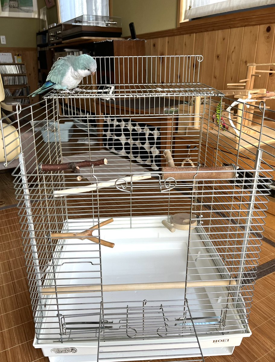 ケージのレイアウト