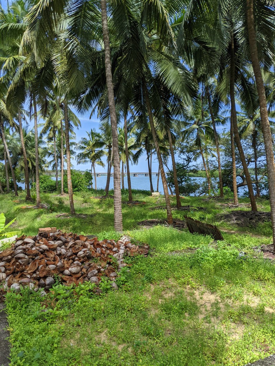 PrincetonDcunha's tweet photo. この景色と夏の爽やかな風。誰かがここにベッドを設置してくれたら、僕は寝ます。😂 https://t.co/JmmJNV1Vm7