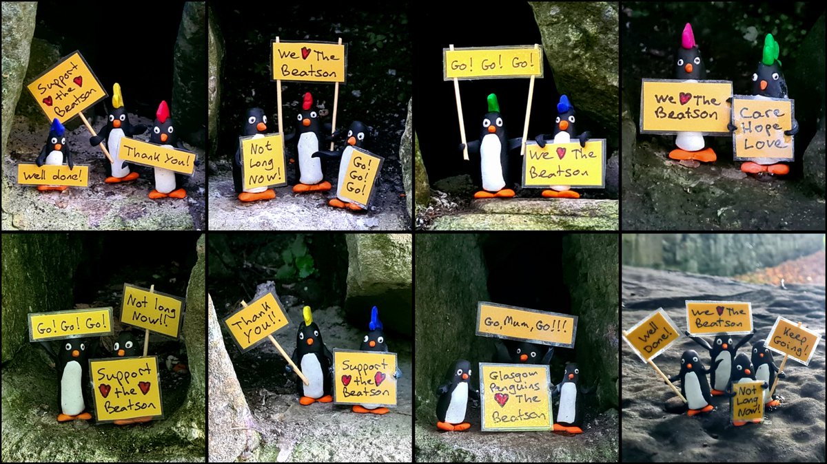 GlasgowPenguins's tweet photo. Off The Beatson Track, the fund-raising event for @Beatson_Charity will be going right past our wall on the Kelvin Walkway today, and we'll be out cheering on participants!
If you enjoy our antics, please consider donating to them at https://t.co/az20PDWNok.
#glasgow #penguins https://t.co/gERPa5BZPo