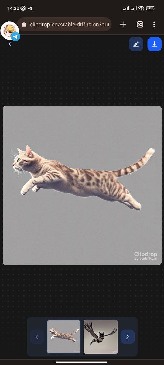 Flying Cat
#KerasCommunityDay #GDGBogor #GenerativeAI