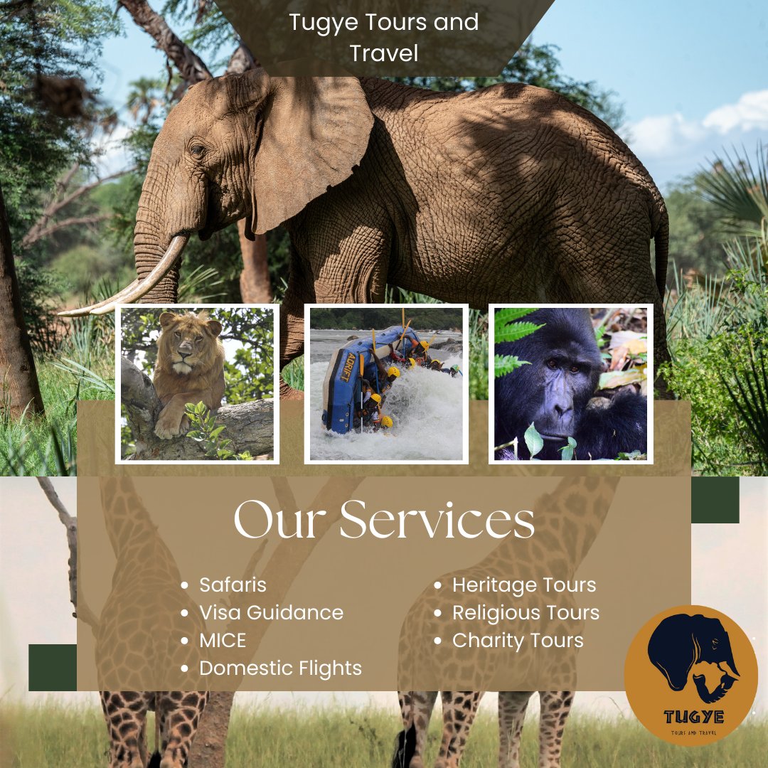 For your next safari or MICE tour, reach out for our most incredible prices
#safari #tugyetoursandtravel #t3 #exploreuganda #tour #MICE #heritagetours #visaguidance #charitytours #kavuyotours #heritagetours #religioustours #pearlofafrica