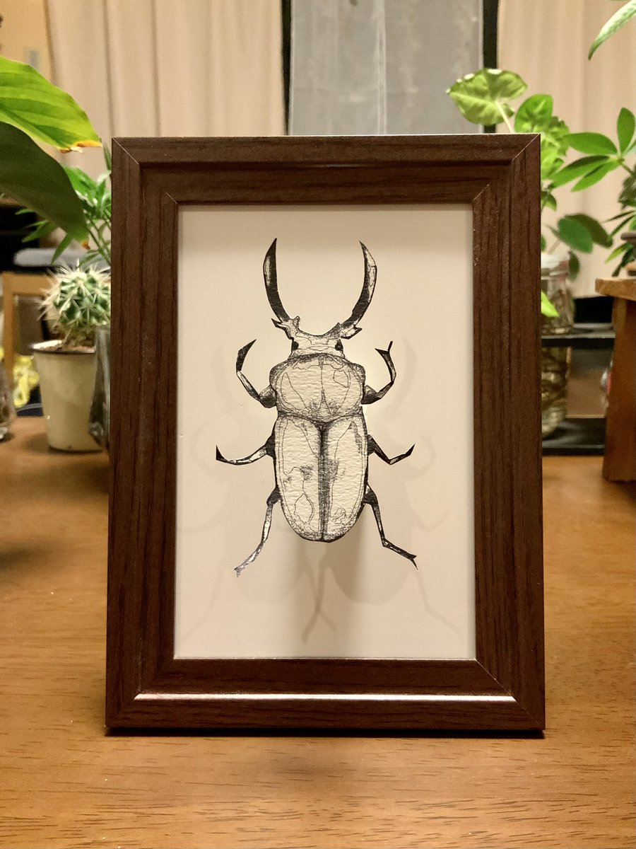 紙で作った昆虫標本です

少し本物に近づけたかったので、実際の昆虫標本の作り方と同じようにピンを刺して立体的な展示の仕方をしています

#昆虫 
#illustrationart