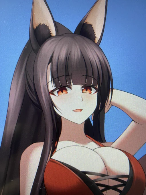 描いてて楽しい重桜組 