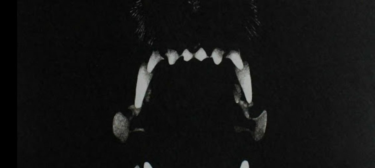 Calvin81081's tweet image. Inscrivez-vous avec mon lien, commencez votre essai de NFT et faites partie du monde minier : développez votre propre empire minier, participez au jeu NFT et obtenez de vraies récompenses en BTC.

#GoMiningToken #GoMiningStartNFTTrial gmt.io/?ref=2HyEZ